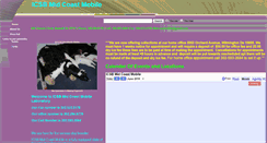 Desktop Screenshot of icsbmid-atlanticmobile.com